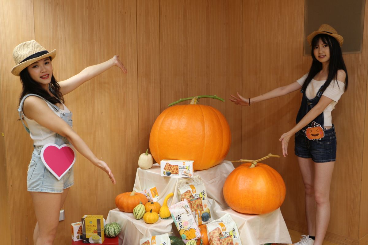 ▲新北市舉辦「大南瓜比賽」希望能帶動休閒農業觀光熱潮。（圖／記者蔡琇惠攝，2019.06.11）