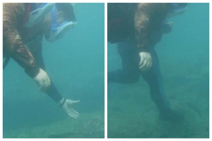 ▲一名男子 10 日在小琉球花瓶岩附近海域浮潛時，疑似因為摸不到海龜，竟然直接「用腳狠踩」，其惡行都被一旁民眾拍下。（圖／翻攝自 Youtube）