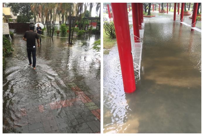 ▲台南某科技大學今（11）日上午出現了淹水情況，有學生在 PTT 上分享校內淹水實況，宣告「水樂園」開幕。（圖／翻攝自 PTT）