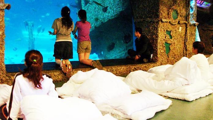 ▲夜宿海生館「蟹逅」活動，帶遊客走入大自然了解珍貴的陸蟹生態。（圖／海生館提供）