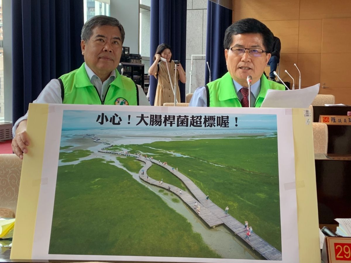 ▲議員楊典忠、何敏誠質詢時指出，市府連續三年調查，高美濕地大腸桿菌超標疑慮，應歸類為不宜親水活動區域，要求市府現場豎警示牌。(圖／柳榮俊攝2019.6.13)