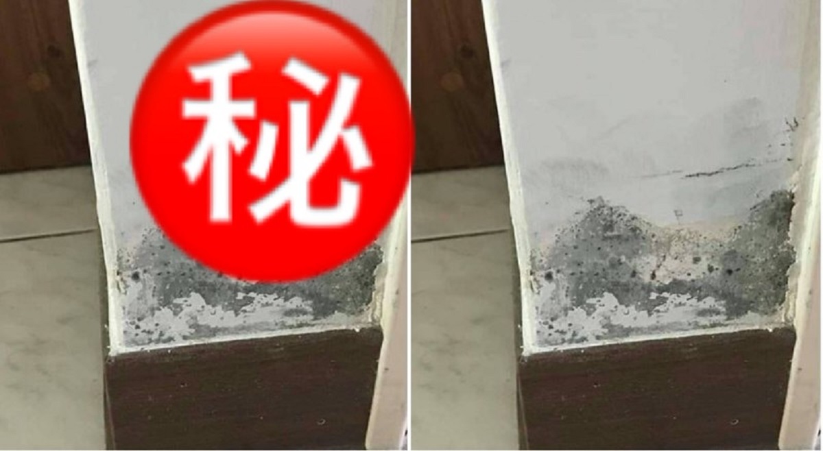 ▲台灣氣候潮溼，漏水、壁癌等問題是許多民眾居家困擾，牆面斑駁痕跡不僅破壞空間美觀，壁癌掉落的粉末灑落一地，壁面產生的起泡、粉畫、剝落、黴斑等現象，更可能成為呼吸道或是過敏來源。（圖／翻攝自爆廢公社）