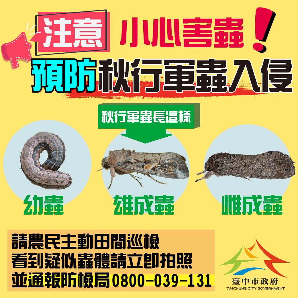 ▲中市府將透過民政系統加強宣導秋行軍蟲辨識及通報，請民眾提高警覺、主動通報。 (圖／市政府提供2019.6.14)
