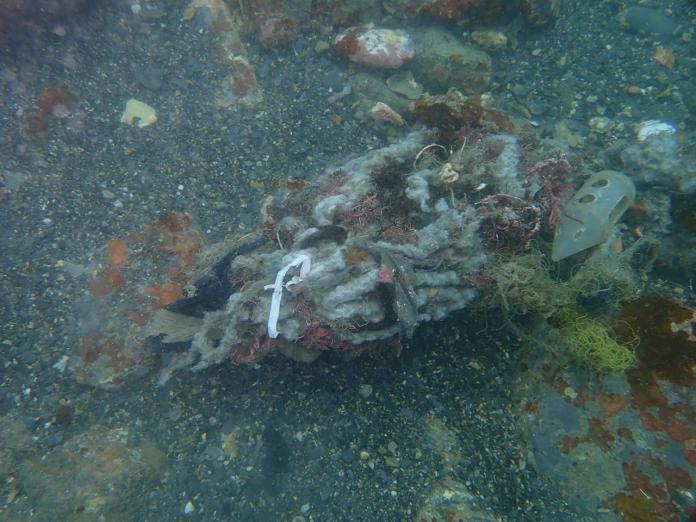 海底垃圾以廢棄漁網為最大宗