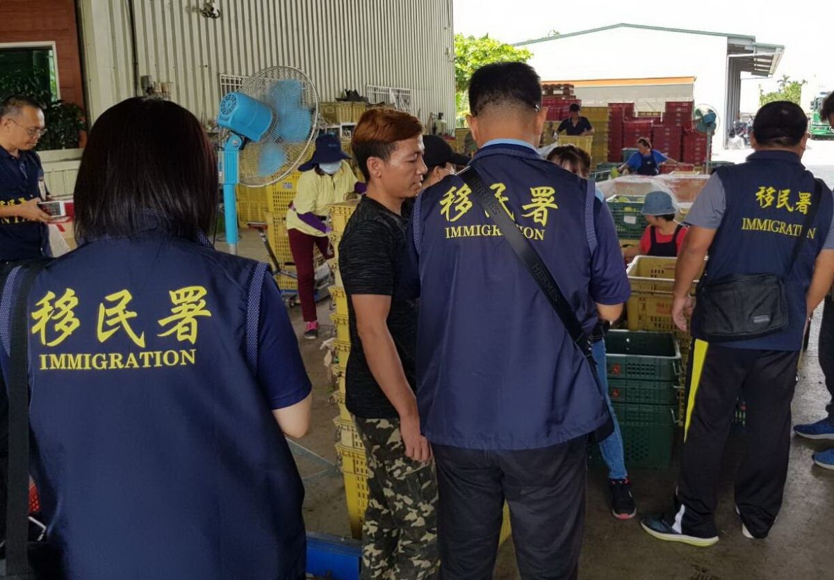 ▲移民署南區事務大隊屏東縣專勤隊到青果集散市場查獲非法工作外籍人士。(圖／記者黃謝美蘭攝，2019.06.16)  