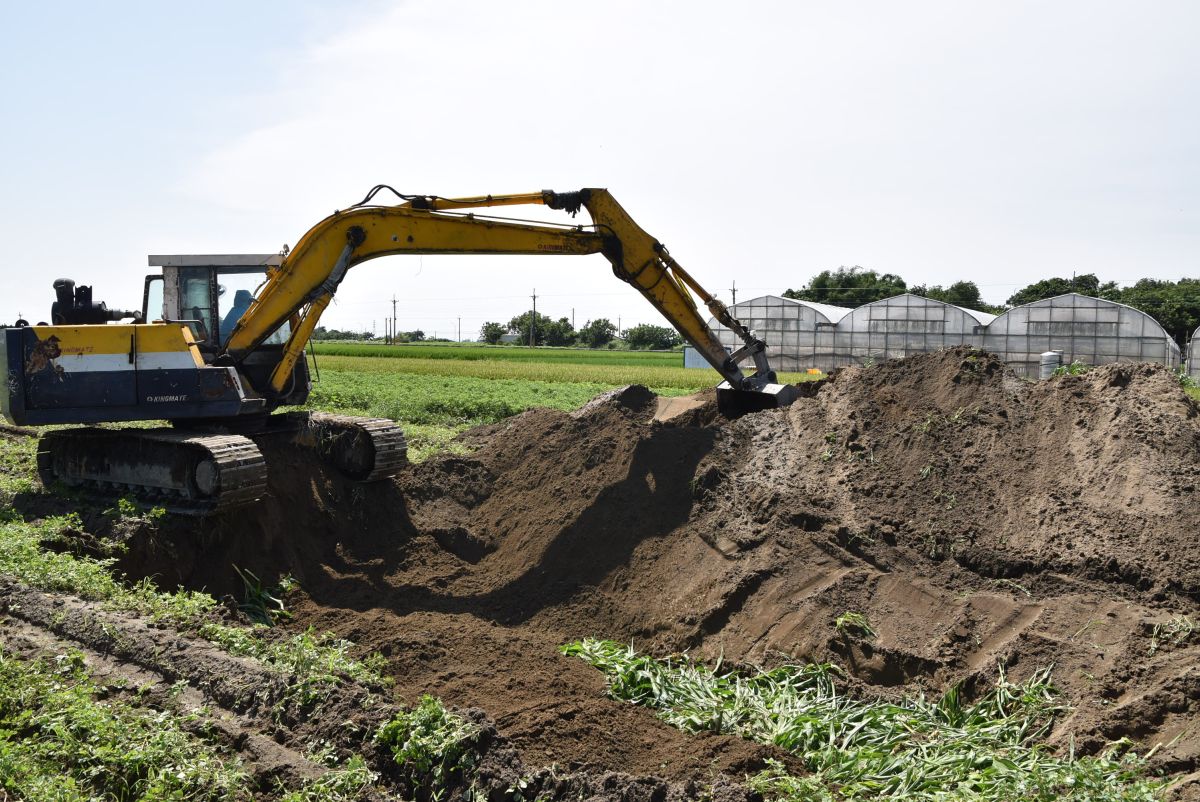 ▲雲林縣全面防堵秋行軍蟲疫情，農民紛紛下田展開蟲蟲大作戰。（圖／記者簡勇鵬攝，2019.06.17） 
