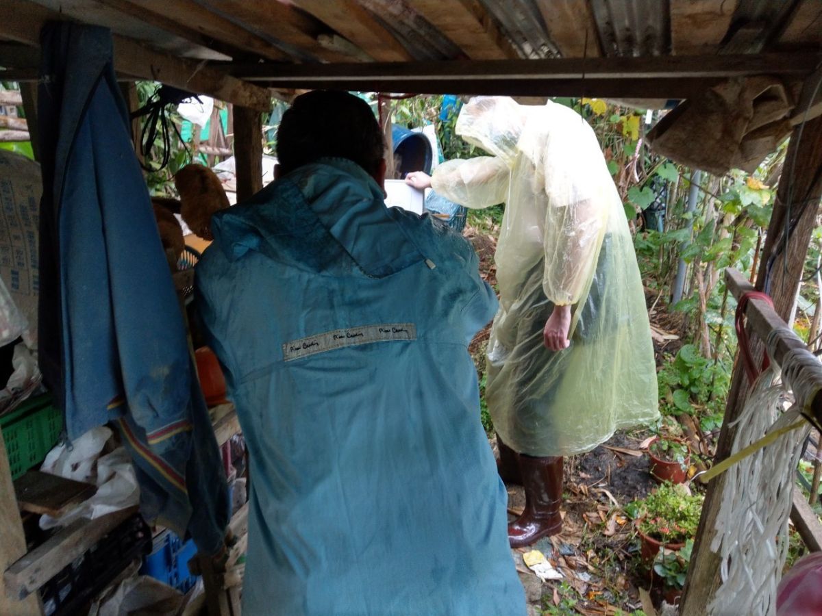 ▲新北市稽查具風險性的菜果園，並輔導清除環境孳生源，降低感染登革熱風險。（圖／新北市衛生局提供）