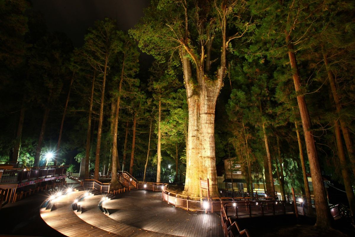 ▲香林神木多功能舞台。（圖/嘉義林管處提供，2019.06.20）