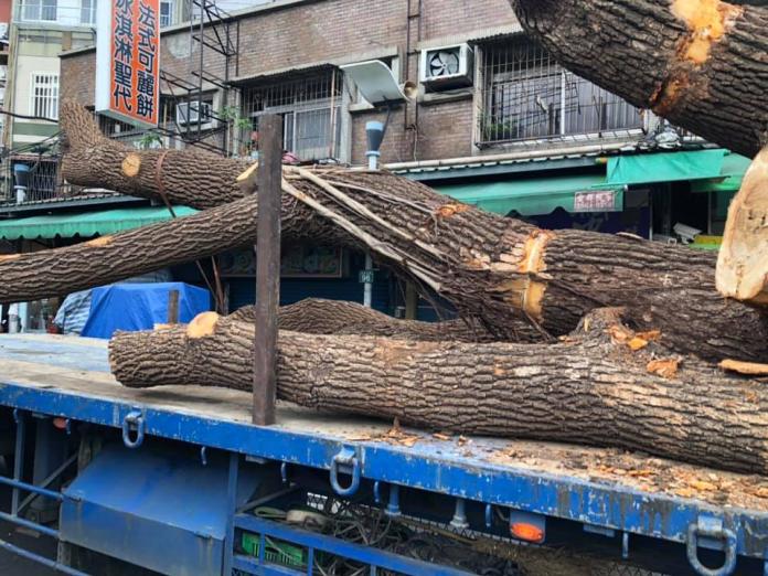 ▲板橋湳雅夜市有2棵受新北市列管的樟樹遭建商移除。（圖／新北市議元何博文提供）