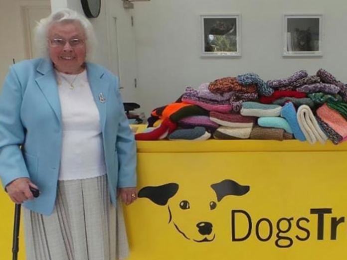 梅西每年都會捐贈許多毯子和毛線衣給收容所狗狗，希望牠們在冷冷的天氣裡能保持溫暖。 (圖/boredpanda)