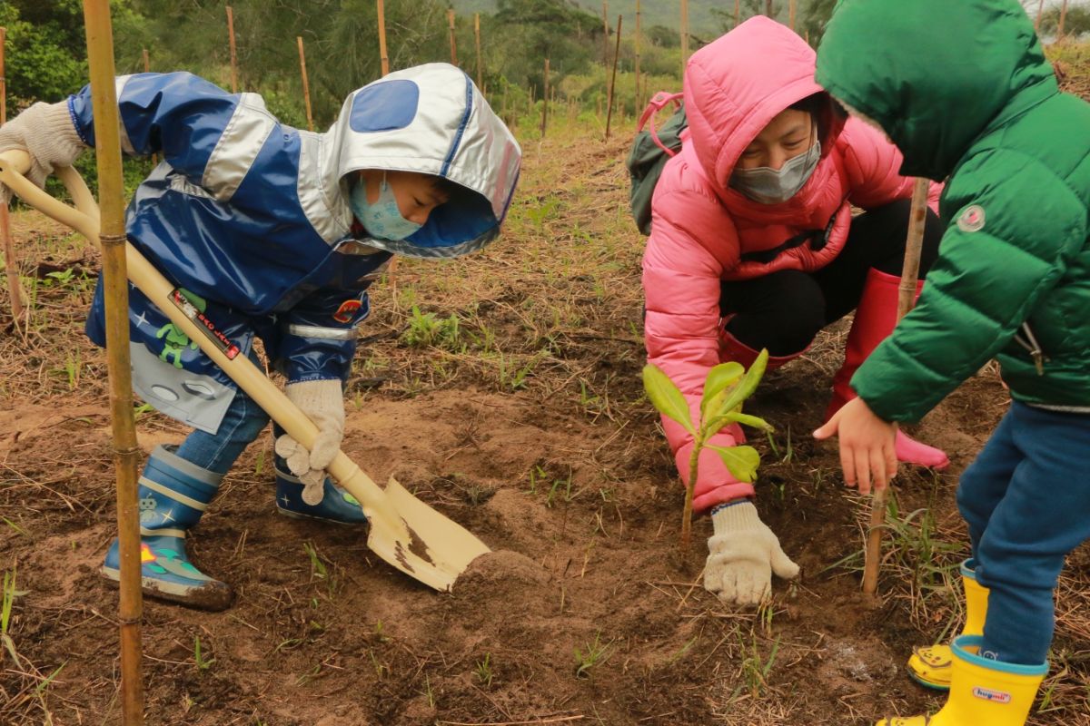 ▲新北市政府鼓勵民眾植樹造林護生態，攜手打造新北成為更舒適美麗的家園。（圖／新北市農業局提供）

