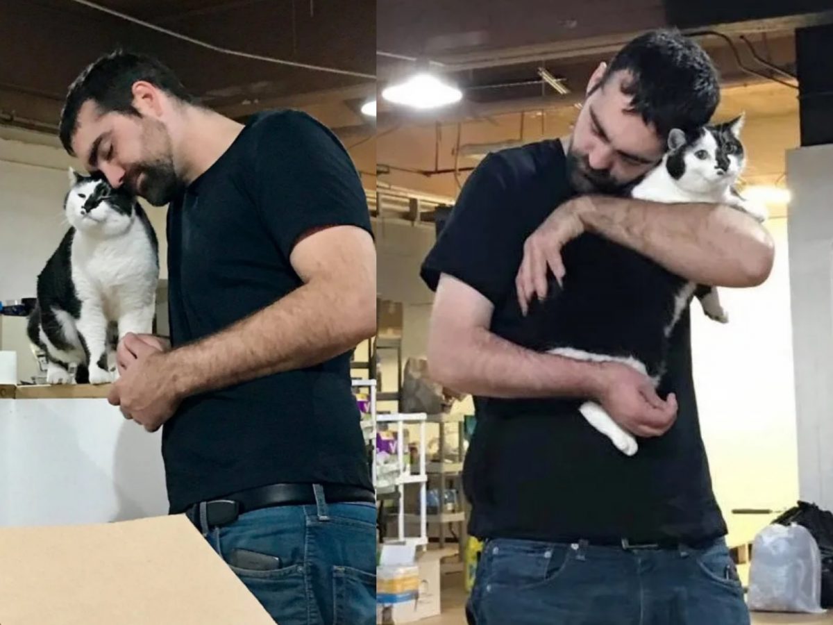 對巴頓來說，店後面的倉庫就是牠的地盤，牠喜歡靠在瑞恩旁邊打盹還有討摸摸。 (圖/Safe Haven Pet Sanctuary) 