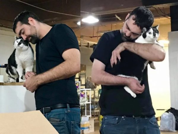男子從沒養過貓　當志工後幸運得到招財貓店長！