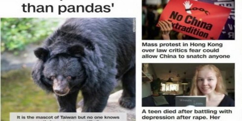 比貓熊更珍貴！CNN頭條報導台灣黑熊瀕危困境
