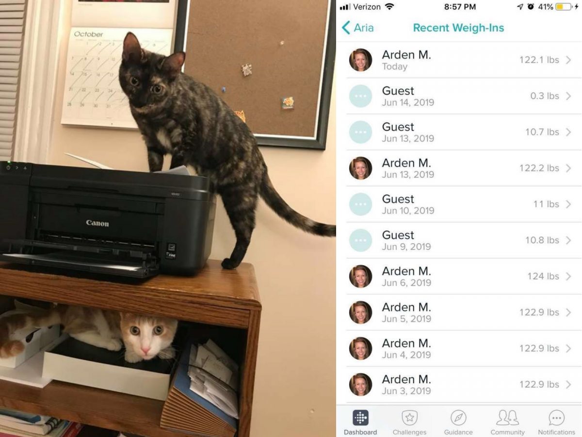 手機上顯示有個「不知名的使用者」重量是10.7磅，約是4.85公斤。 (圖/Arden McSwain) 