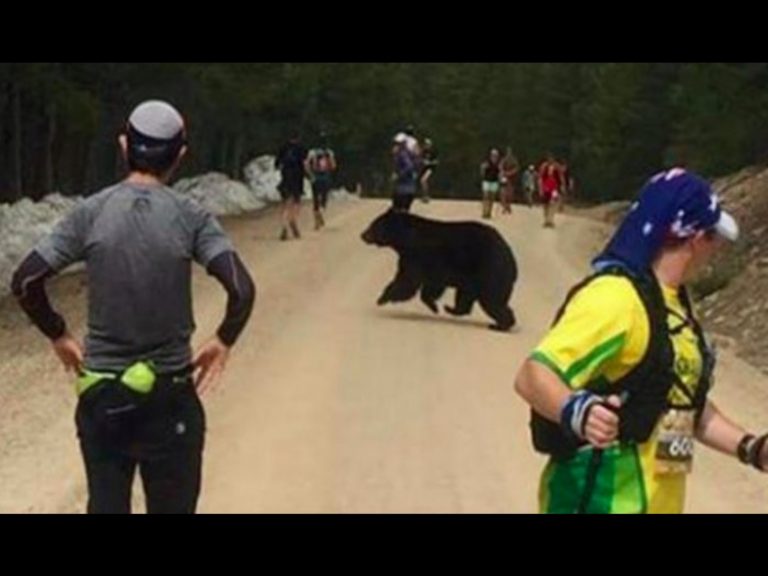 美國日前一場馬拉松比賽有黑熊闖入賽道。（圖／翻攝根克臉書）A Decrease font size. A