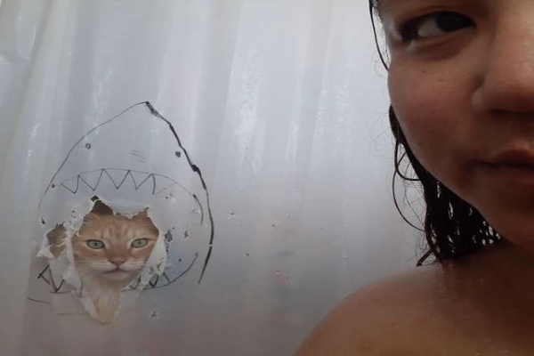 愛水的橘貓頻頻破壞浴簾　主人開始畫畫惡搞牠