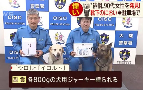 為了獎勵二隻警犬，大磯警察署署長親自頒發表揚狀，還送上牠們最愛吃的肉乾800克！（圖／翻攝自YT@ANNnewsCH）