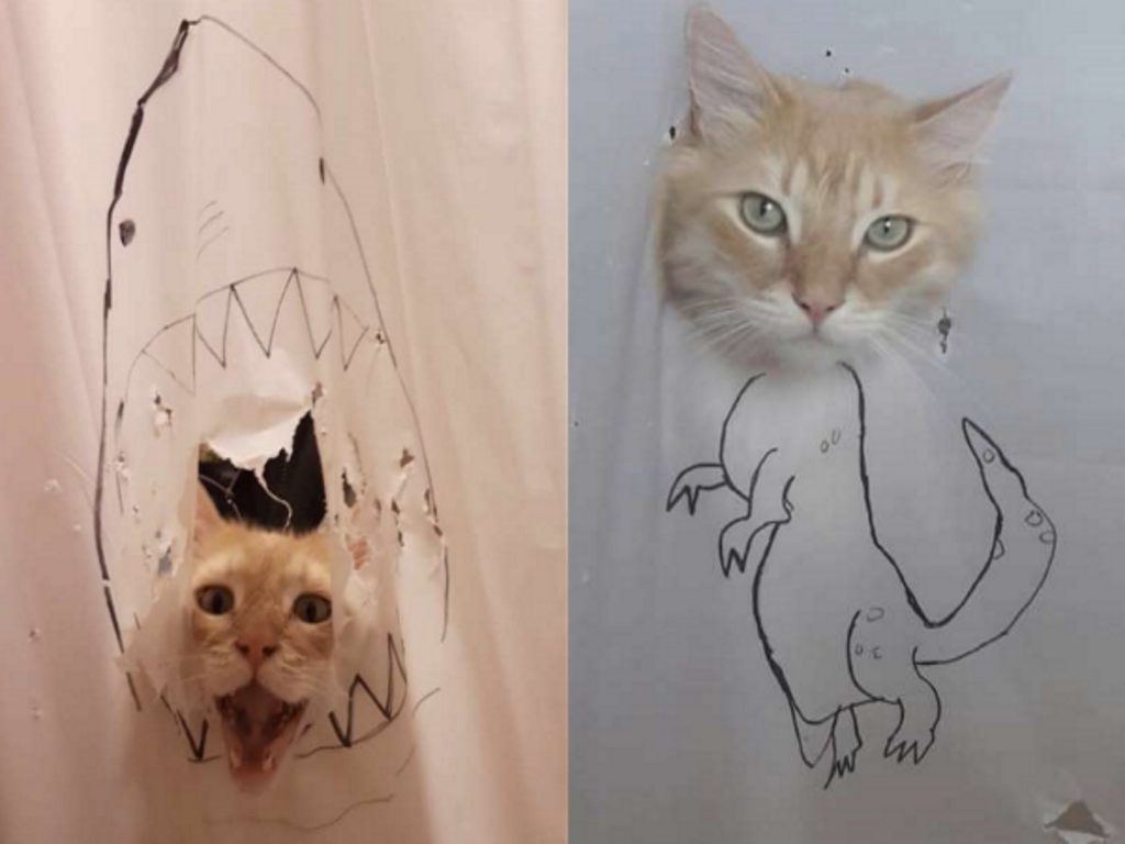 愛破壞浴簾的Masuka被主人惡搞啦！（圖／IG@what_would_masuka_do）