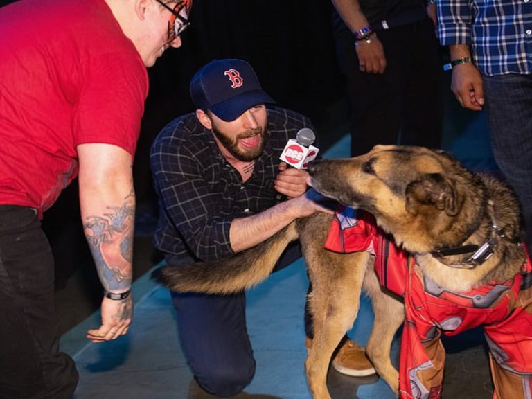 愛狗的美國隊長在動漫展受訪時　竟跳下舞台擁抱粉絲狗狗
