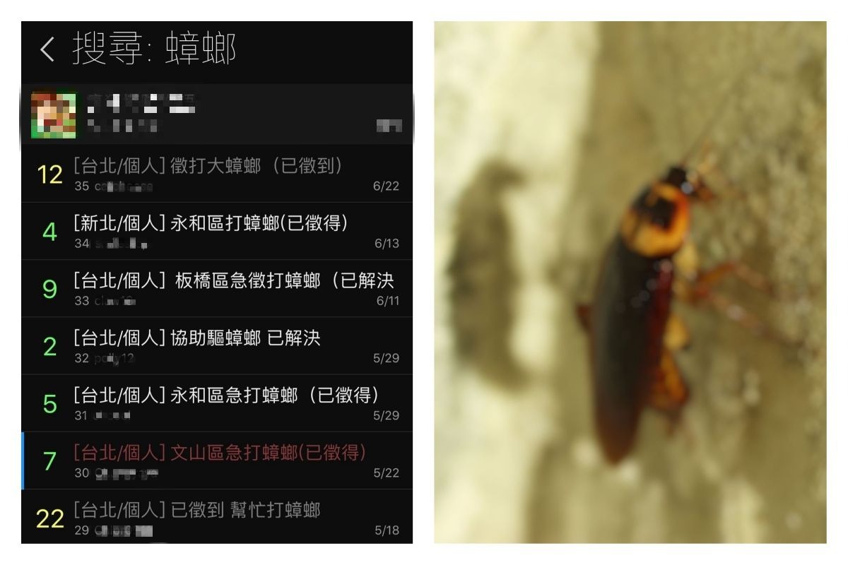 ▲打蟑螂者一次收費 200 至 800 元都有，儼然成為新興職業！（合成圖／翻攝自 Ptt 批踢踢西斯不西斯粉絲專頁、Pixabay ）