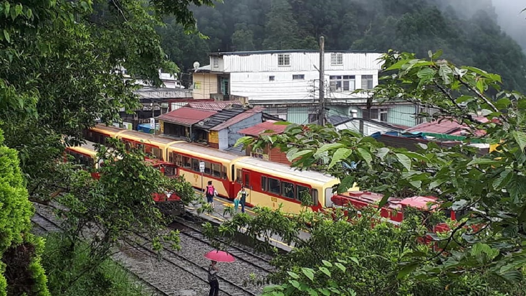 ▲阿里山森鐵保存議題希望推動森鐵成為世界文化遺產。（圖／李佩昕攝）