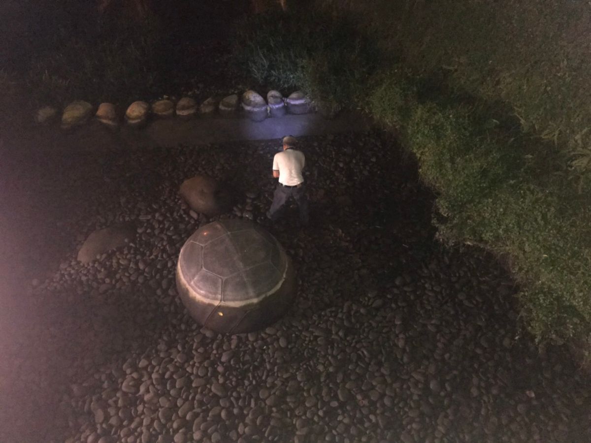 ▲水利局緊急啟動地下水井安置魚隻。 (圖／水利局提供2019.7.2)