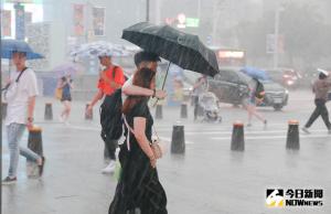 為何颱風來會停班停課？台灣防災假起源曝　勿忘勇敢的許碧蘭老師
