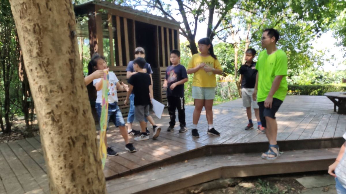 ▲芬園鄉文德國小校園內光蠟樹上爬著滿滿的獨角仙，讓學生近距離觀察的進行生態教育學習。（圖／記者陳雅芳攝，2019.07.02）