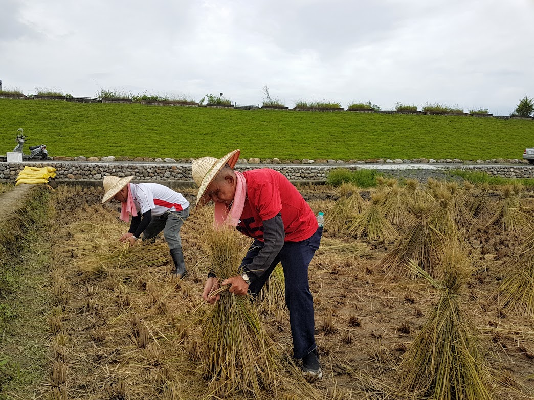 ▲高齡九十四歲的老農民陳茂昌現場展示「掌草」功夫，不但身手矯健，力道更不輸給年輕人。（圖／記者李清貴攝,2019.07.03)
