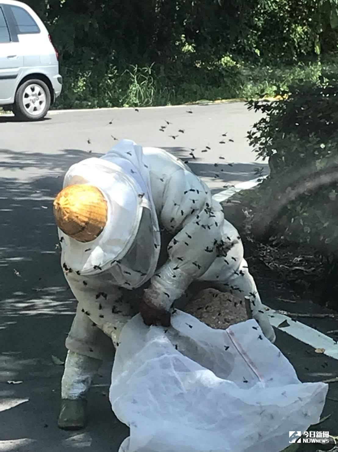 ▲夏天是虎頭蜂活躍季節，新北市動保處統計，去年報案總量高達9,429件。（圖／新北市動保處提供）