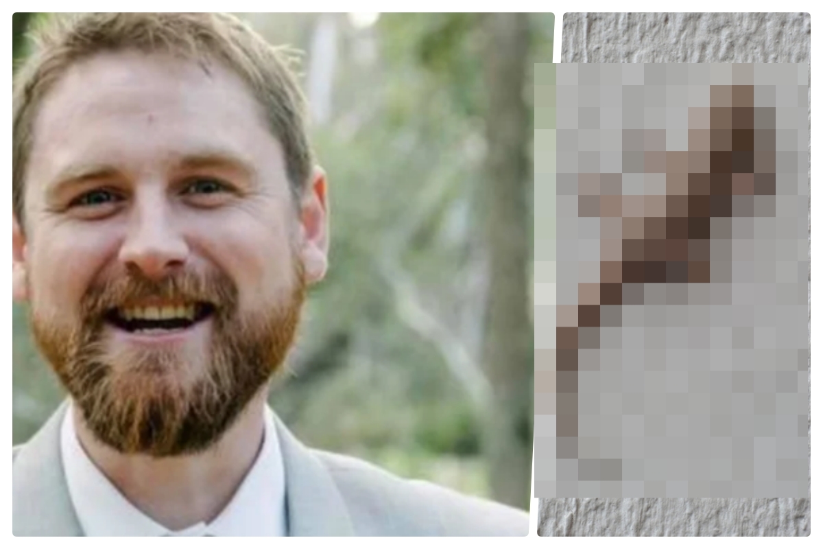 ▲澳洲一名男子因吞下野生壁虎死亡。（圖／翻攝網路）