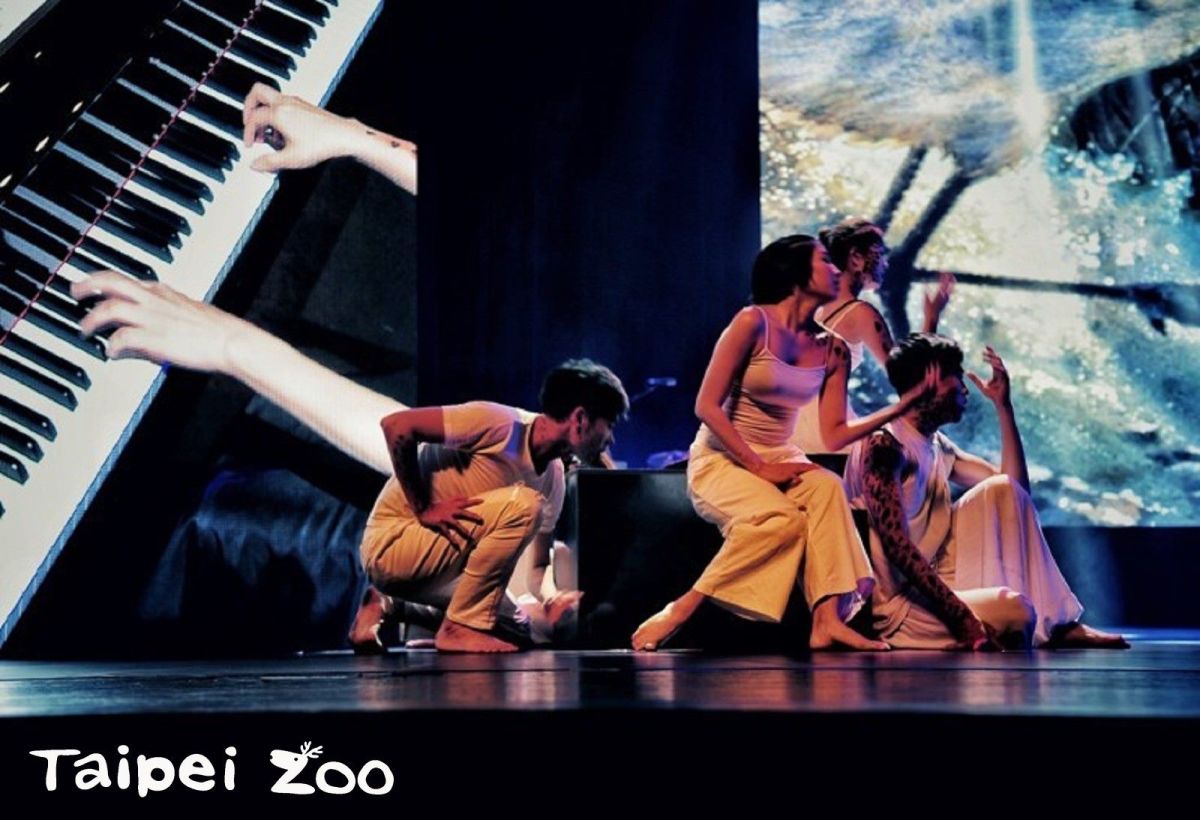 ▲台北市立動物園每年只有在7、8月的8個周六，夜間延長開放至9點。而今（6）日夜間開放登場。(圖／台北市立動物園提供)