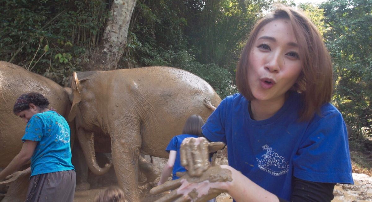 ▲主持人湘涵替大象洗泥巴浴。（圖／公視提供）