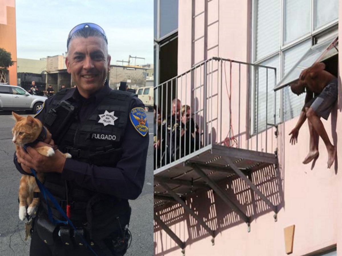美國一名男子企圖跳樓自殺，最後被愛貓成功救回一命（圖／The Pets Castle）