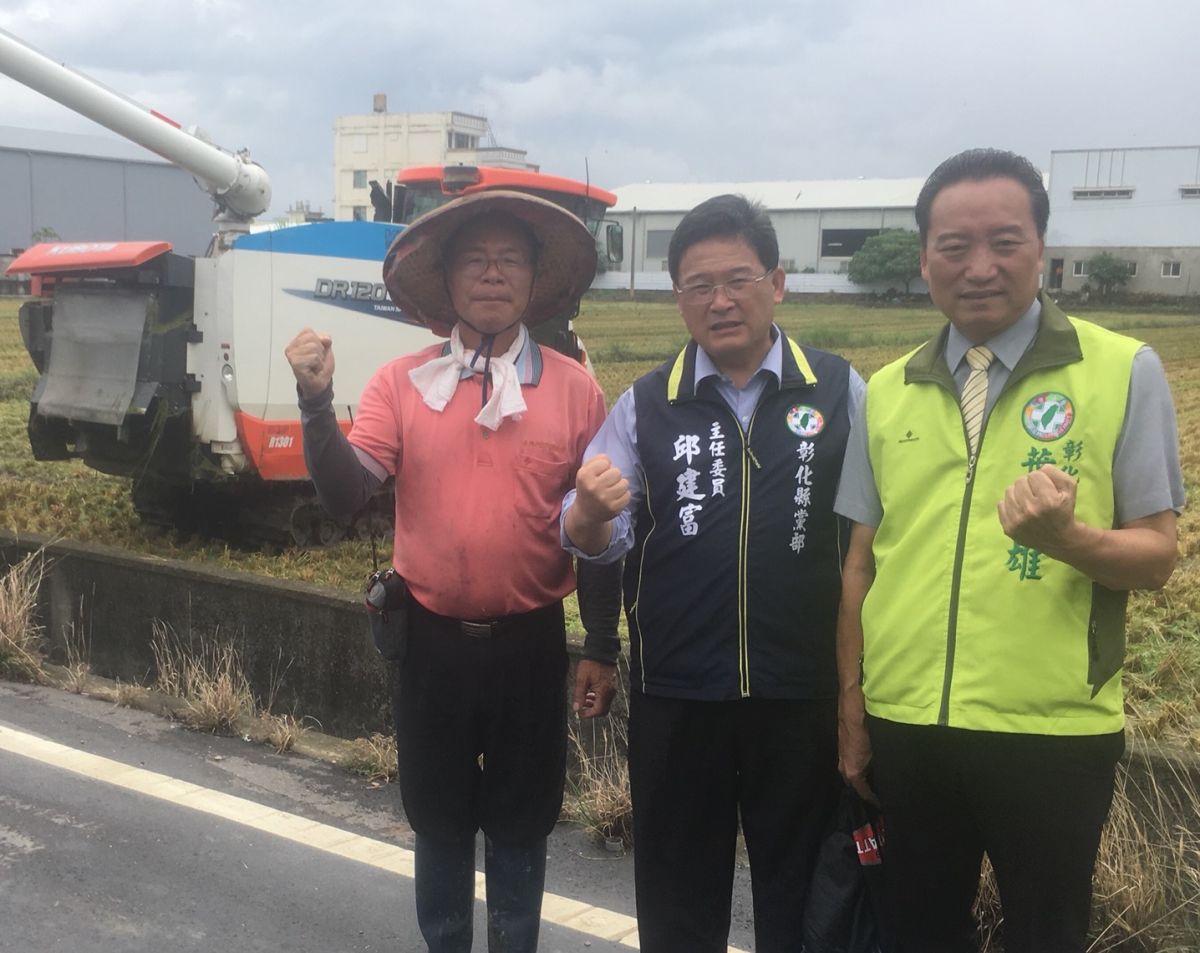 ▲今年在來米稻穀價格崩盤，每百台斤收購價700元，賣農委會允諾將補足價差到收購價格每百台斤800元。（圖／記者陳雅芳攝，2019.07.09）