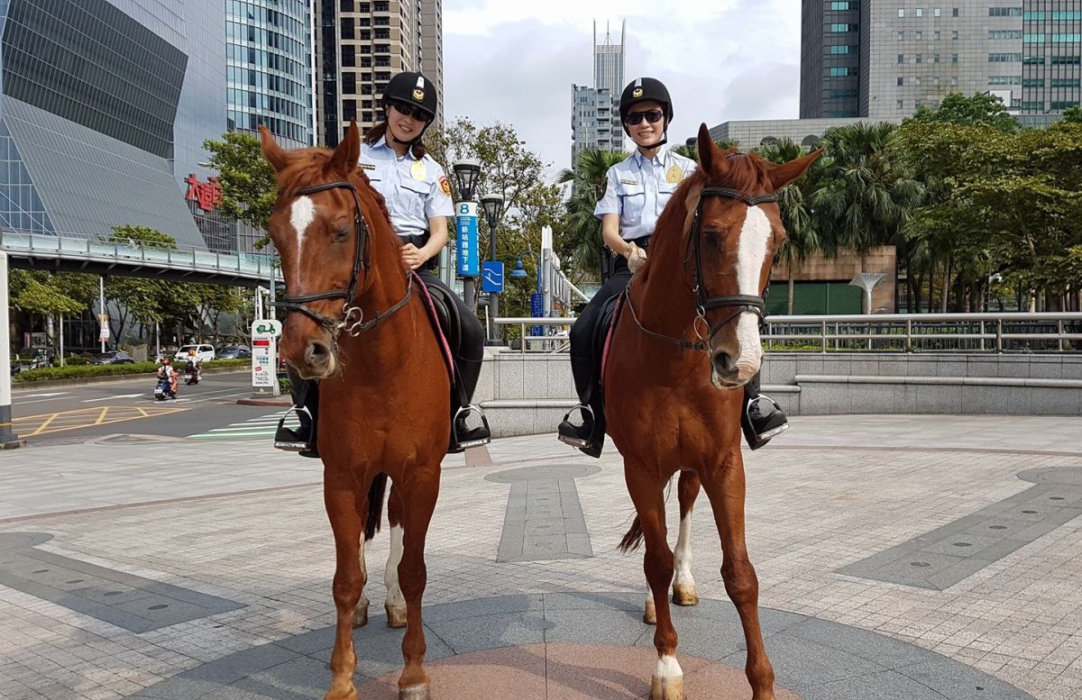 ▲新北市騎警隊自民國92年成立，目前每週六、日及國定假日會在各地巡邏。（圖／新北市警察局提供）