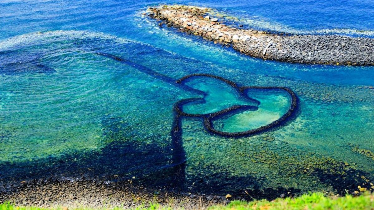 ▲澎湖七美雙心石滬游進200多尾「雙帶鰺」，石滬的主人得知喜訊招來鄉親10多人抓魚，意外發了一筆小財。（圖／郭偉民攝，2019.07.10）