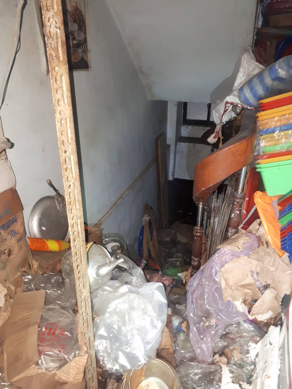 ▲開山里一處空屋內髒亂不堪，地下室積水裡孑孓數量驚人。（圖／台南市衛生局提供）