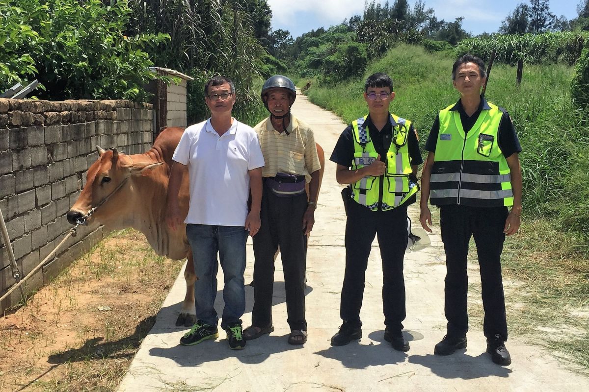 ▲金寧分駐所員警調閱路口監視器，幫老翁找回走失母牛。（圖／金門縣警局提供）