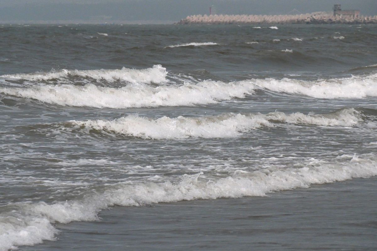 ▲上午料羅灣最強陣風8級，浪高1.2公尺。（圖／金門縣政府提供）