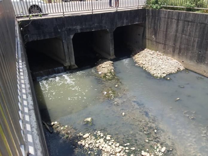 ▲新北市鶯歌區隆五路道路箱涵遭不肖業者排放乳白色廢水。（圖／新北市環保局提供）