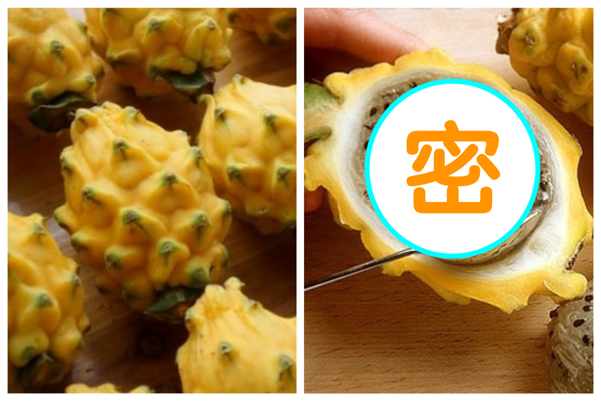 ▲「麒麟果」又稱「黃金火龍果」，原產地在中美洲熱帶地區，不僅營養價值極高，價格也十分昂貴。（圖／翻攝自百度）