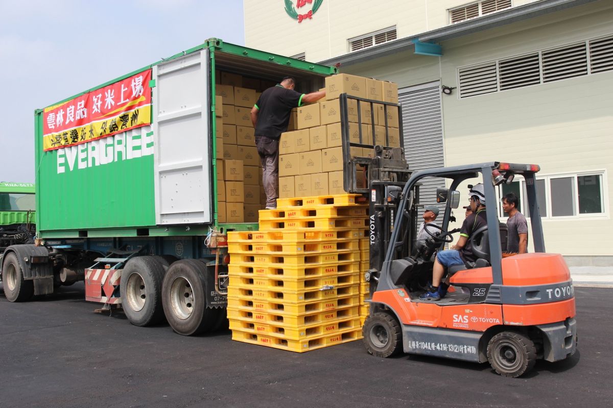 ▲雲縣長張麗善視察雲林良品斗南好米銷往澳洲裝櫃情形，並親自封櫃鳴笛出發。（圖／記者簡勇鵬攝，2019.07.16）