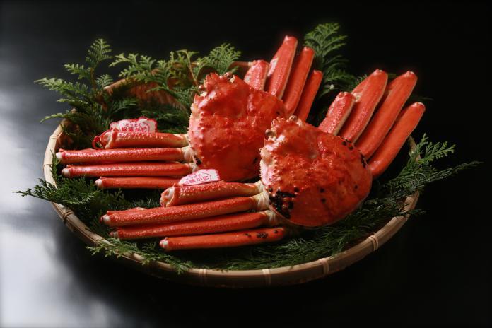 ▲松葉蟹又被稱為雪蟹，在全台許多吃到飽餐廳都有提供，但其實全球產量近幾年逐漸減少。（示意圖／鳥取縣政府）。