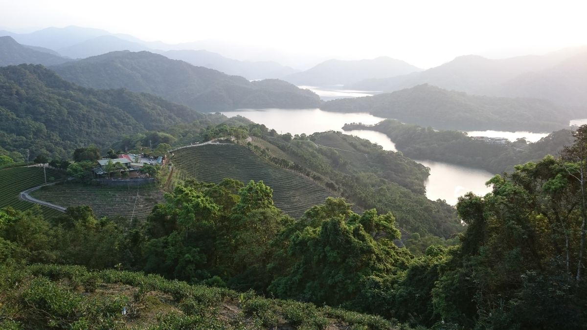 
▲林試所指出，森林覆蓋完整的上游集水區，具有安定土砂、澄清水質、抑制崩塌及涵養水源的公益功能。 （圖／林試所提供）