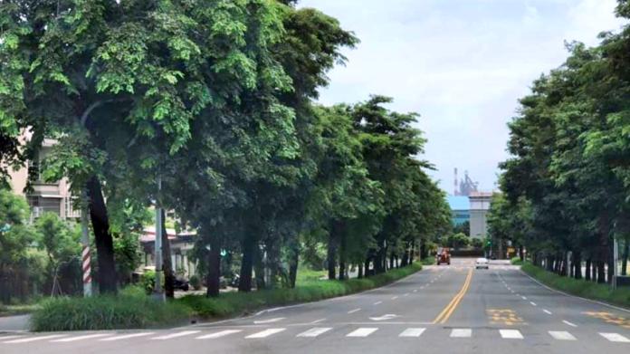 高雄市大坪頂一處分隔島「枝葉繁茂」,民眾開車找不到紅綠燈在哪裡。(圖 / 翻攝公民割草行動臉書)