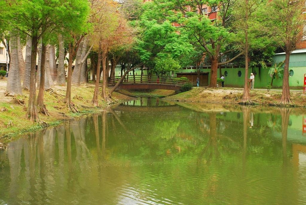 ▲新增的本土型登革熱病例都在巴克禮公園運動。（圖／翻攝網路）
