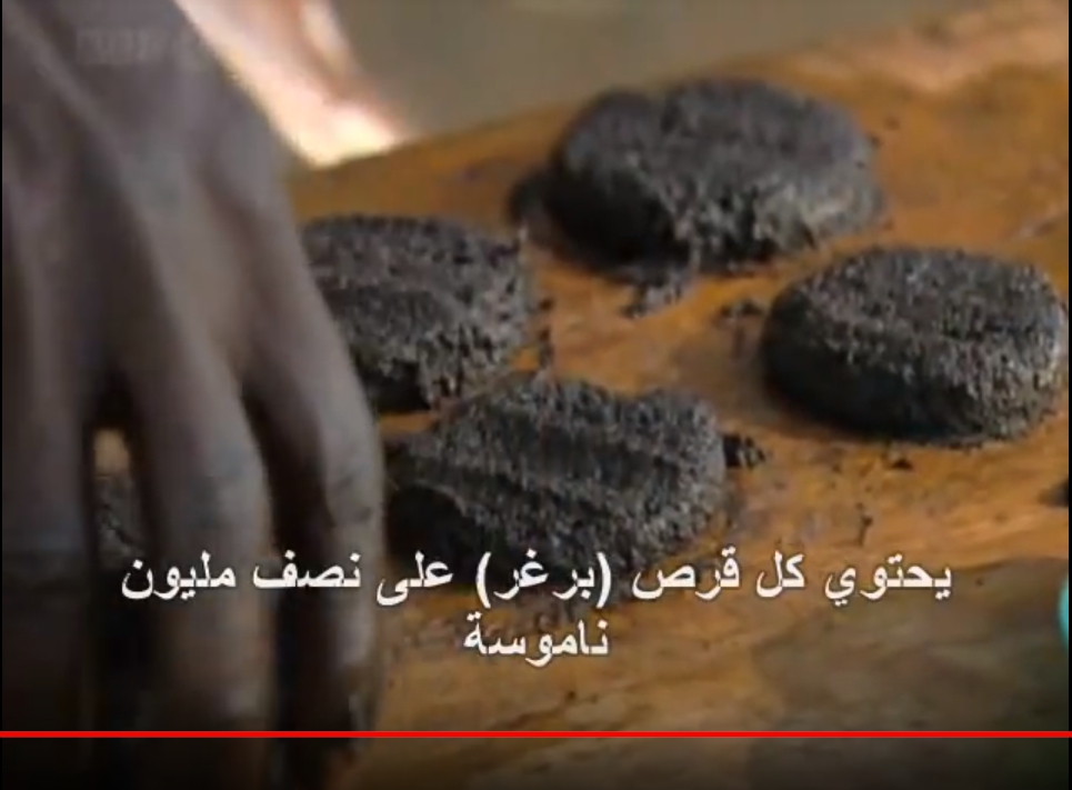 ▲東非的蚊子煎餅料理。（圖／截自YouTube）