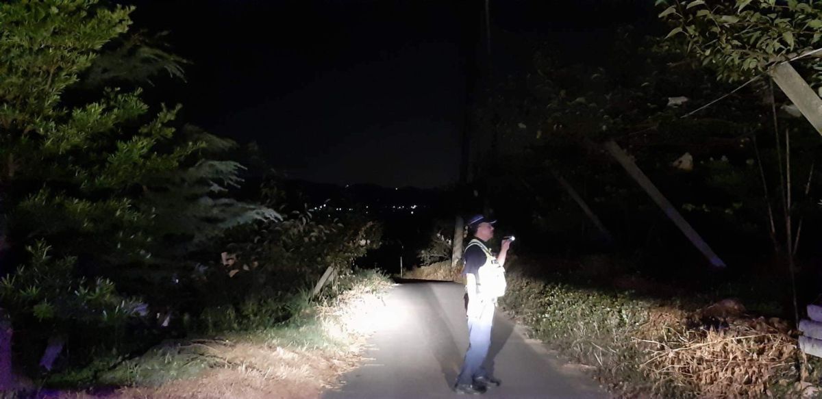▲警員深夜「徘徊」水梨樹下，與梨農聯手守護心血，免遭宵小剽竊。（圖／新埔分局提供）